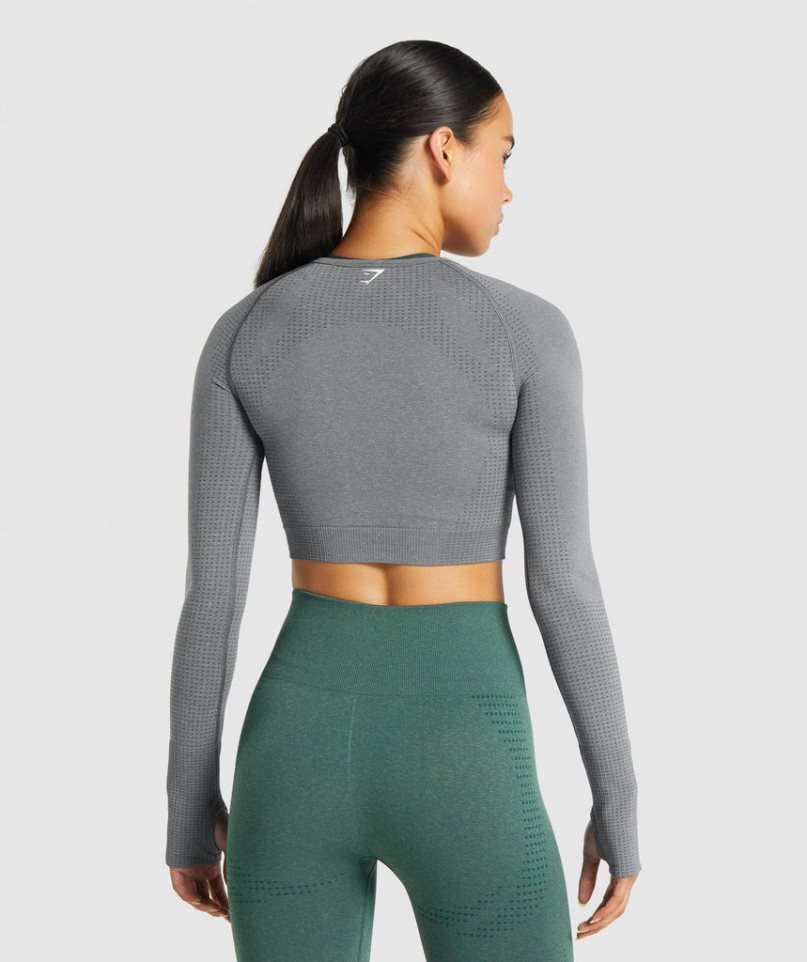 Przycięte Topy Gymshark Vital Seamless 2.0 Long Sleeve Damskie Szare | PL 412ILV